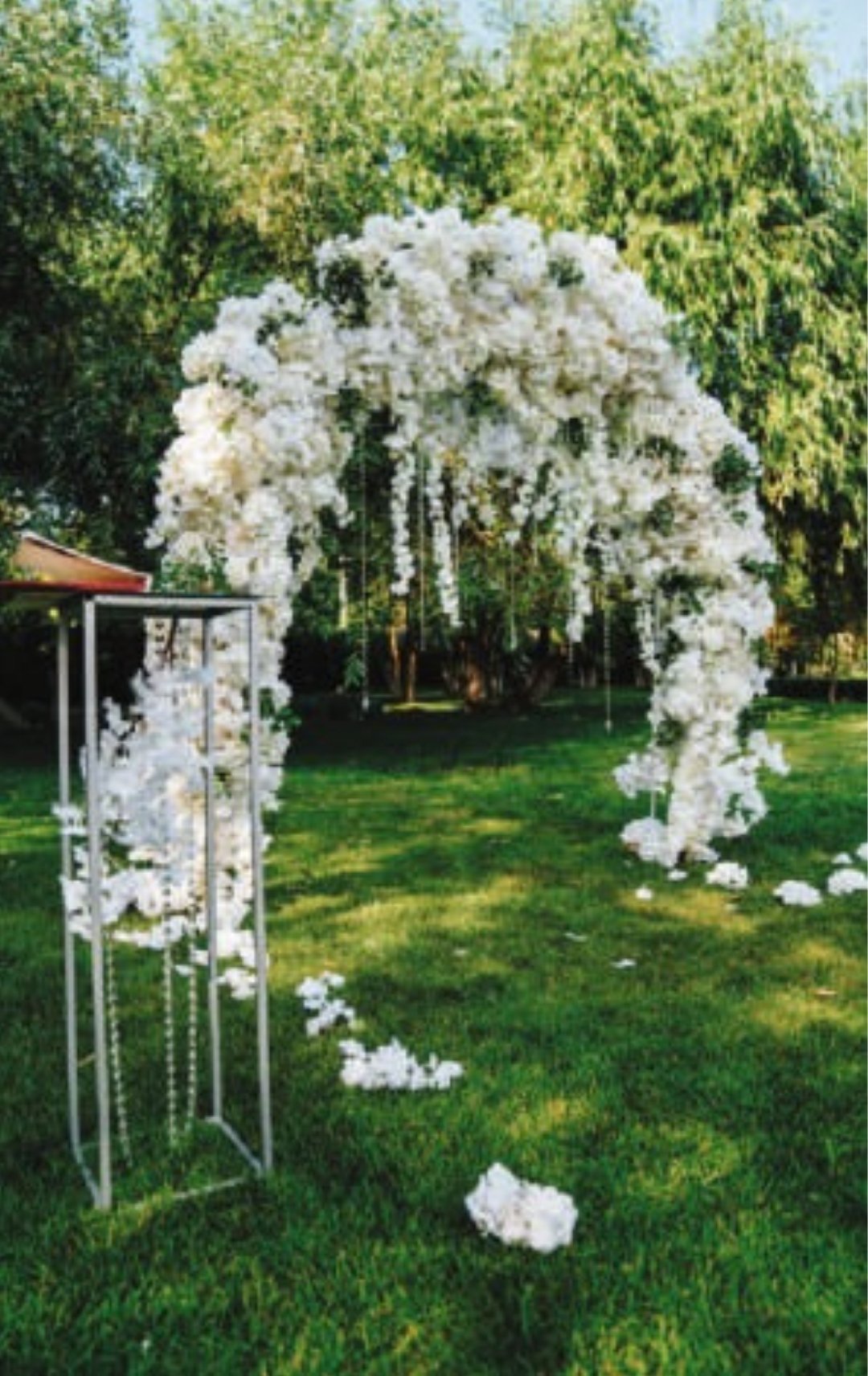 Multipurpose Lawn